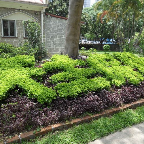 1280px-粉嶺聖若瑟堂_6